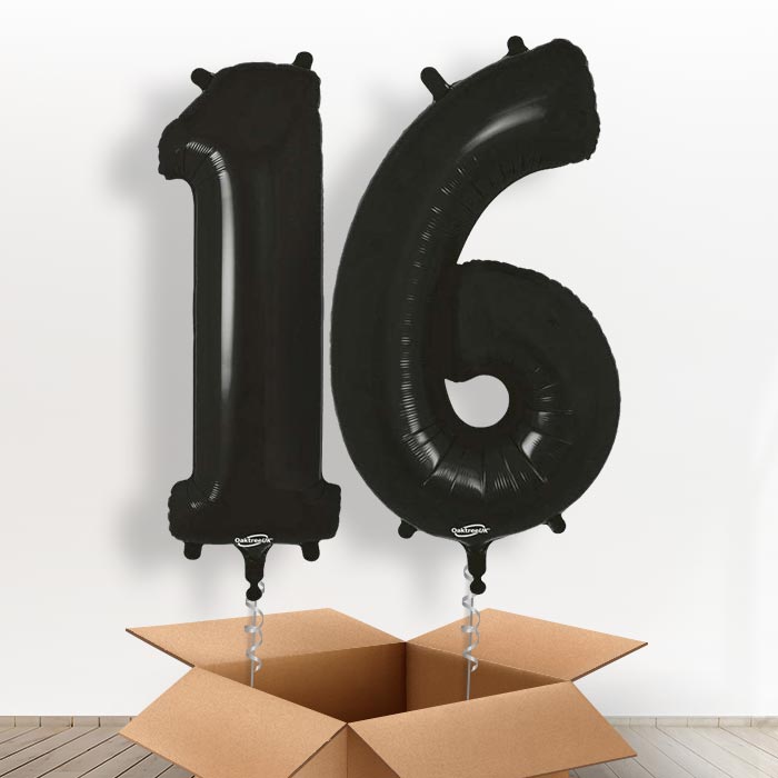 Black 16 Balloons in a Box - Giant Numbers | Small Indoor Plants