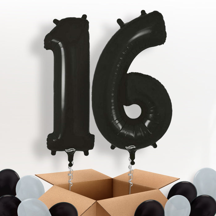 Black 16 Balloons in a Box - Package | Small Indoor Plants