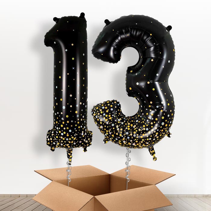 Black and Gold 13 Balloons in a Box - Giant Numbers | Small Indoor Plants