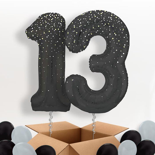 Black and Silver Dots 13 Balloons in a Box - Package | Small Indoor Plants