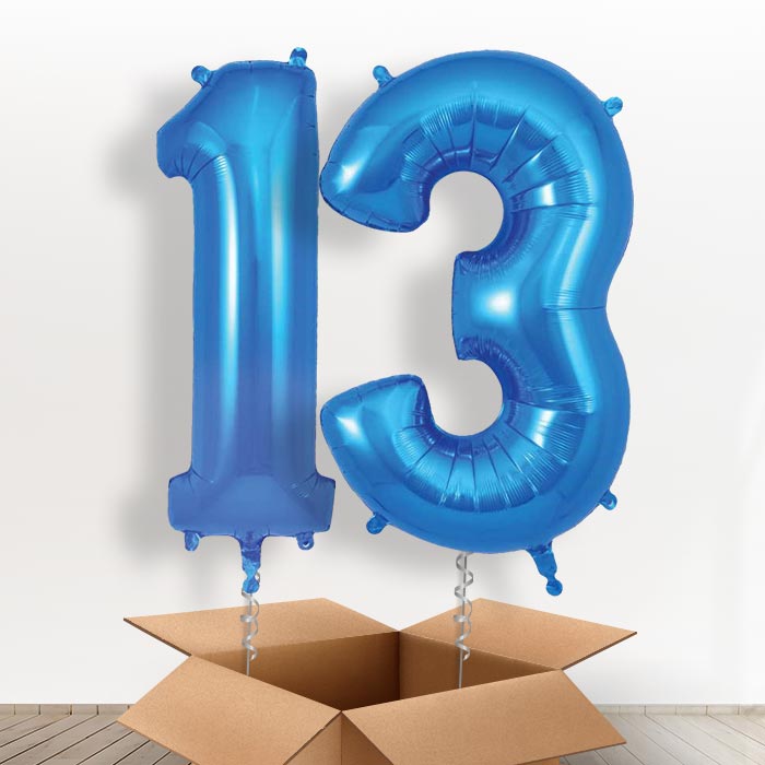 Blue 13 Balloons in a Box - Giant Numbers | Small Indoor Plants