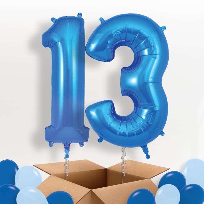 Blue 13 Balloons in a Box - Package | Small Indoor Plants