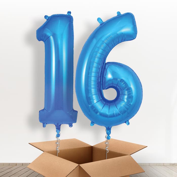 Blue 16 Balloons in a Box - Giant Numbers | Small Indoor Plants