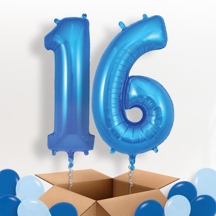 Blue 16 Balloons in a Box - Package | Small Indoor Plants