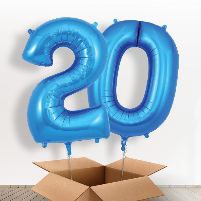Blue 20 Balloons in a Box - Giant Numbers | Small Indoor Plants