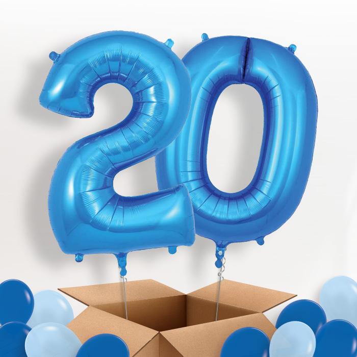 Blue 20 Balloons in a Box - Package | Small Indoor Plants