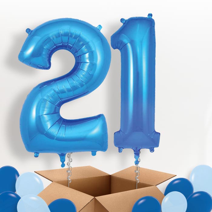 Blue 21 Balloons in a Box - Package | Small Indoor Plants