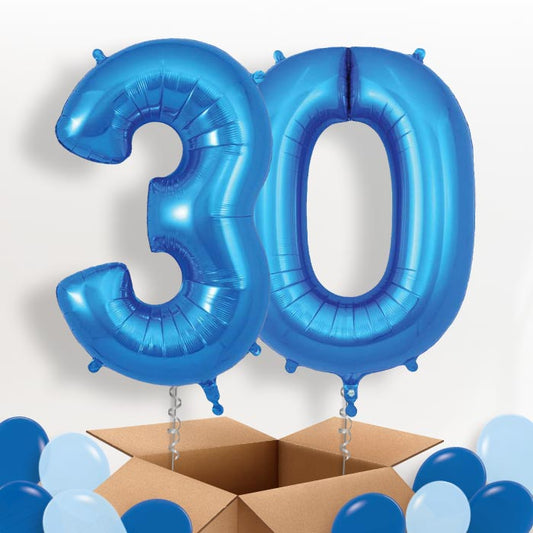 Blue 30 Balloons in a Box - Package | Small Indoor Plants