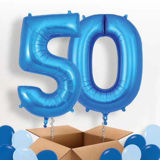 Blue 50 Balloons in a Box - Package | Small Indoor Plants