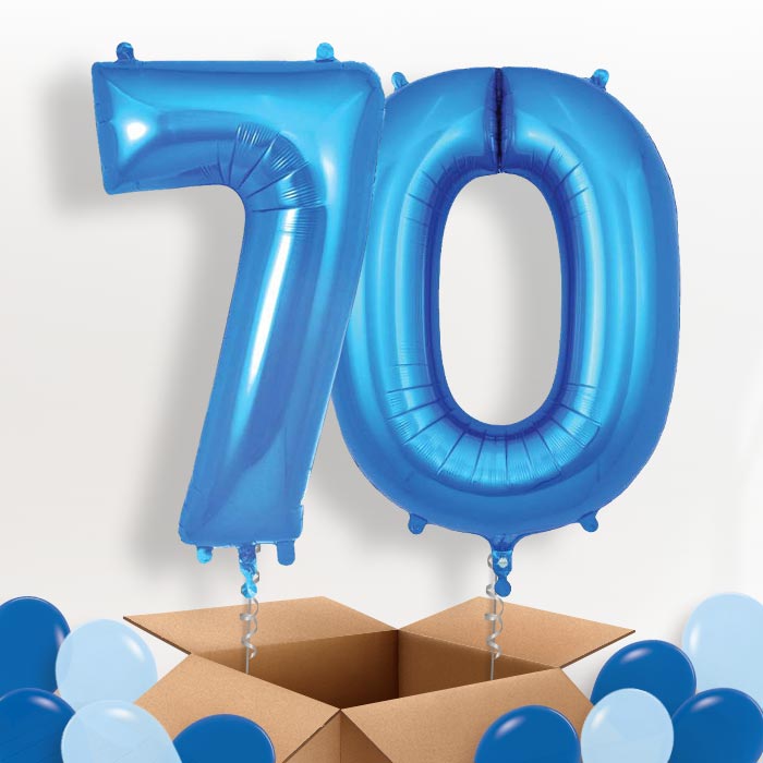Blue 70 Balloons in a Box - Package | Small Indoor Plants