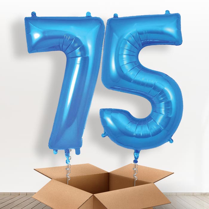 Blue 75 Balloons in a Box - Giant Numbers | Small Indoor Plants