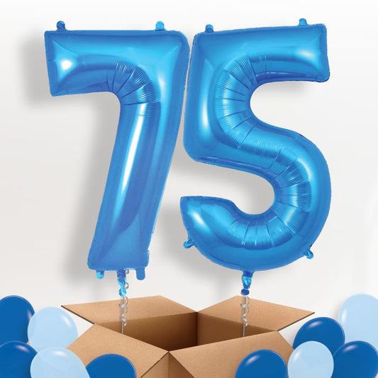 Blue 75 Balloons in a Box - Package | Small Indoor Plants