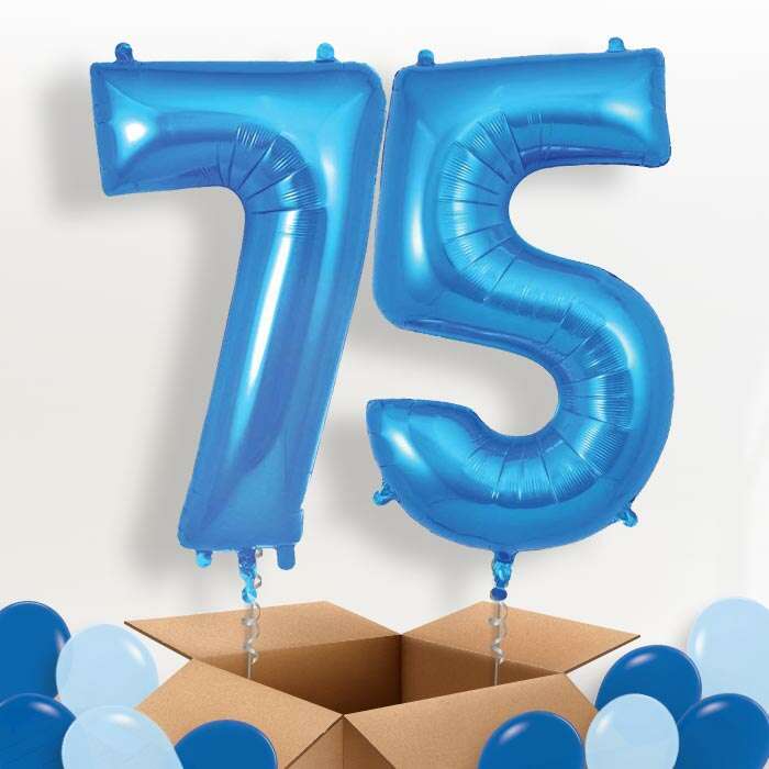 P-BOXBLUE-OAK-75_643e3c75-9ba6-4fb4-80d6-f2300e68d561