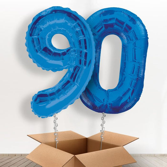 90 Balloon Delivery in a Box - Blue - Package | Small Indoor Plants