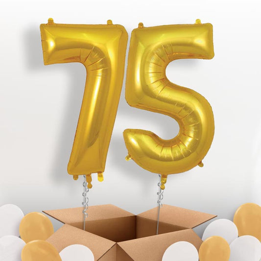 Gold 75 Balloons in a Box - Package | Small Indoor Plants