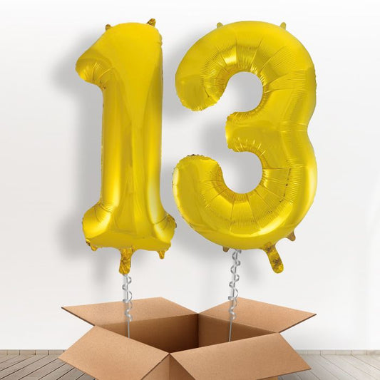 13 Birthday Balloons in a Box - Gold Numbers - Package | Small Indoor Plants