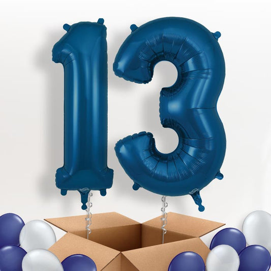 Navy Blue 13 Balloons in a Box - Package | Small Indoor Plants