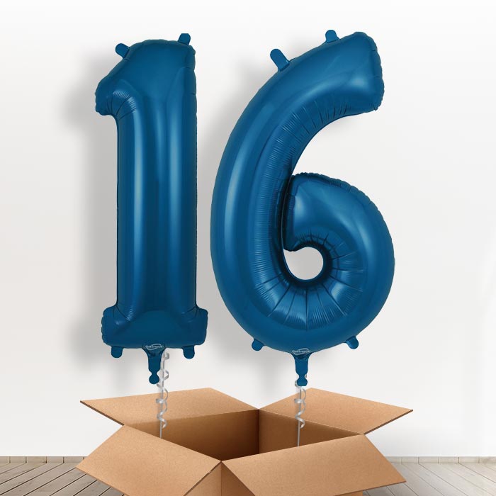 Navy Blue 16 Balloons in a Box - Giant Numbers | Small Indoor Plants