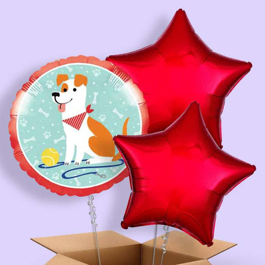 Dog Balloon in a Box - 3 Balloon | Small Indoor Plants