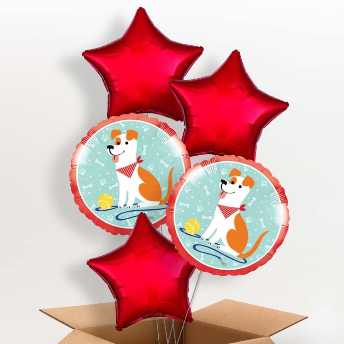 Dog Balloon in a Box - 5 Balloon | Small Indoor Plants