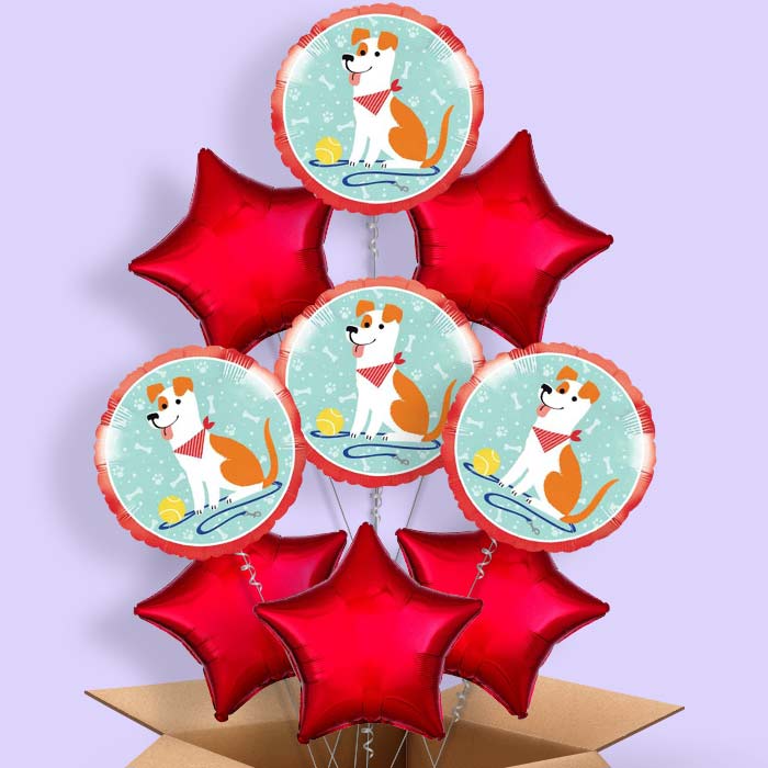 Dog Balloon in a Box - 9 Balloon | Small Indoor Plants