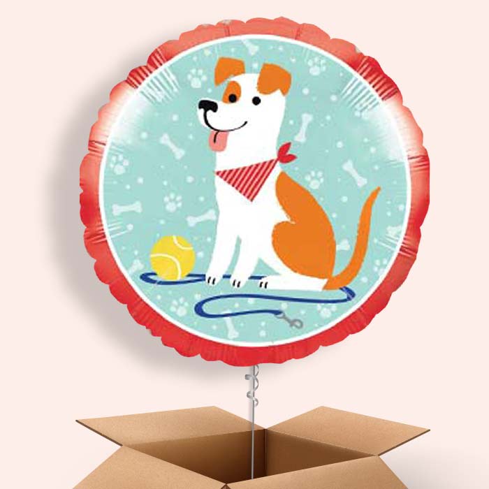 Dog Balloon in a Box - 1 Balloon | Small Indoor Plants
