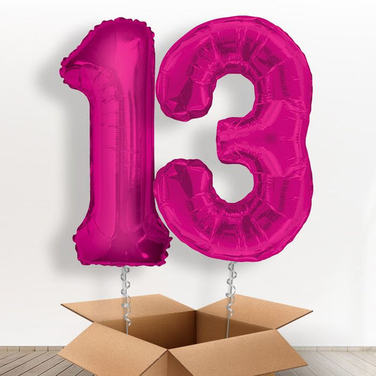 Pink 13th Birthday Balloon Numbers in a Box - Package | Small Indoor Plants