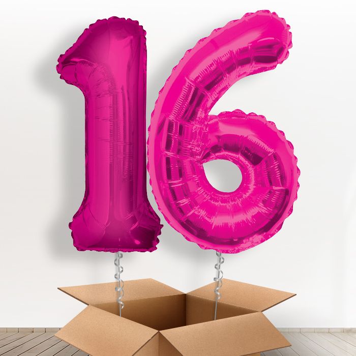 Big Pink 16th Birthday Balloon Numbers in a Box - Package | Small Indoor Plants