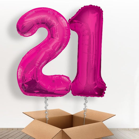 Pink Giant Numbers 21st Birthday Balloon in a Box Gift - Package | Small Indoor Plants