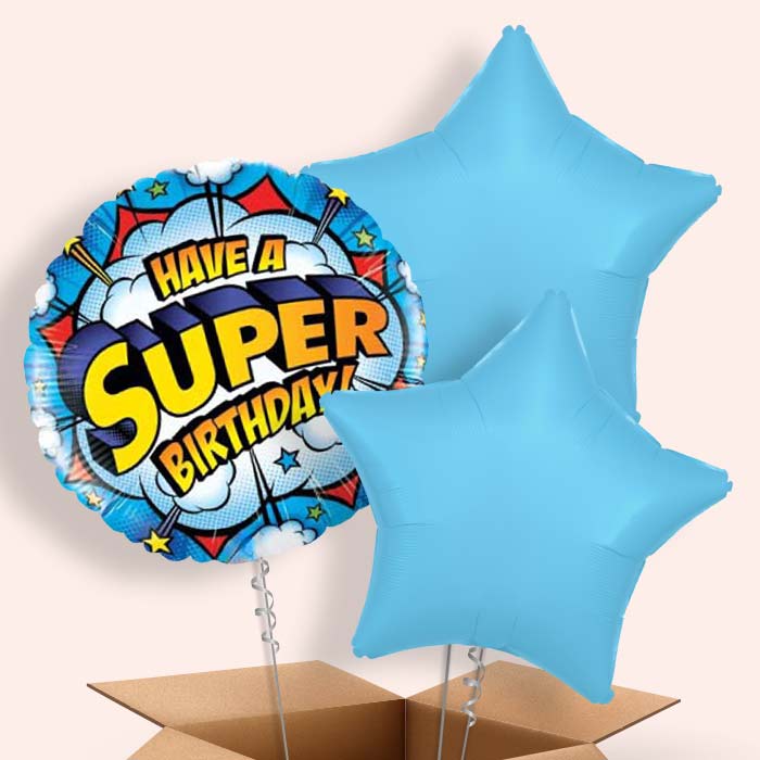 Superhero Birthday Balloons in a Box - 3 Balloon | Small Indoor Plants