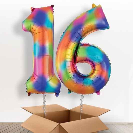 16 Balloons in a Box - Rainbow Numbers - Package | Small Indoor Plants