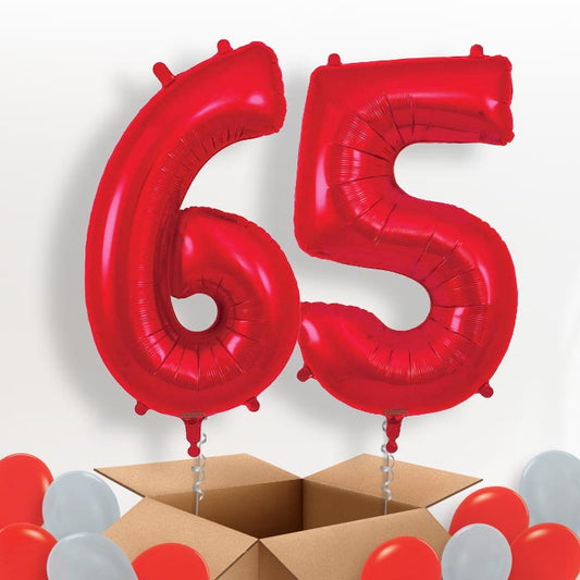 Red 65 Balloons in a Box - Package | Small Indoor Plants