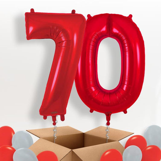 Red 70 Balloons in a Box - Package | Small Indoor Plants