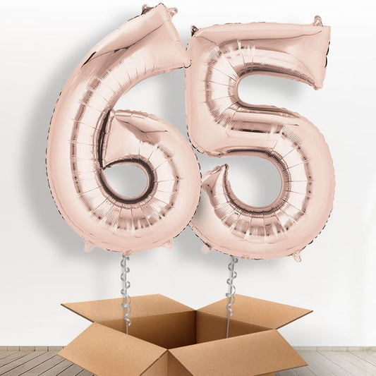 65 Balloon in a Box - Rose Gold - Package | Small Indoor Plants