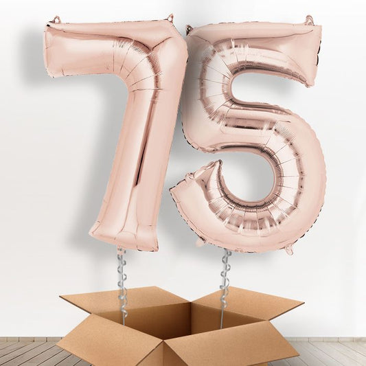 75th Birthday Balloons in a Box - Rose Gold Numbers - Package | Small Indoor Plants