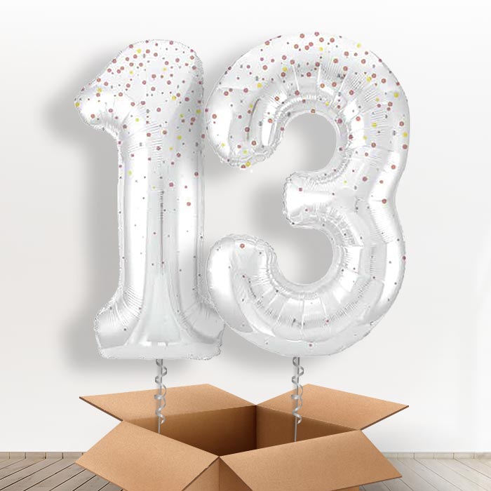 Rose Gold Dots 13 Balloons in a Box - Giant Numbers | Small Indoor Plants