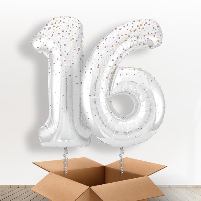 Rose Gold Dots 16 Balloons in a Box - Giant Numbers | Small Indoor Plants