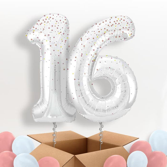 Rose Gold Dots 16 Balloons in a Box - Package | Small Indoor Plants