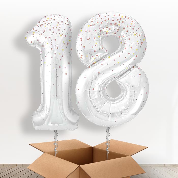 Rose Gold Dots 18 Balloons in a Box - Giant Numbers | Small Indoor Plants