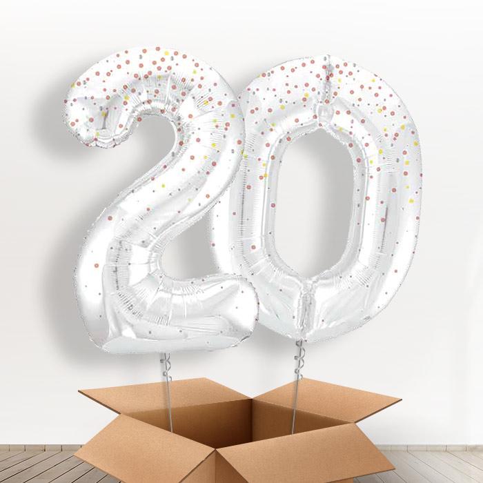 Rose Gold Dots 20 Balloons in a Box - Giant Numbers | Small Indoor Plants