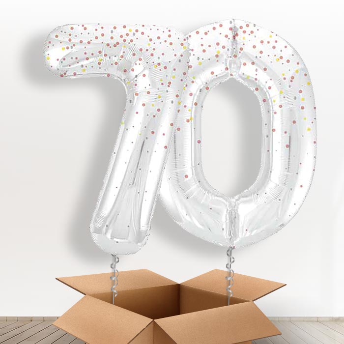 Rose Gold Dots 70 Balloons in a Box - Giant Numbers | Small Indoor Plants