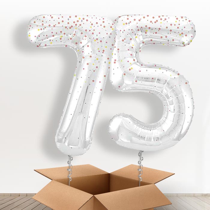 Rose Gold Dots 75 Balloons in a Box - Giant Numbers | Small Indoor Plants