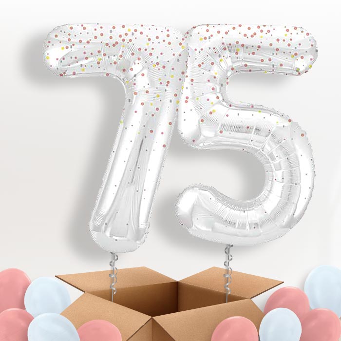 Rose Gold Dots 75 Balloons in a Box - Package | Small Indoor Plants