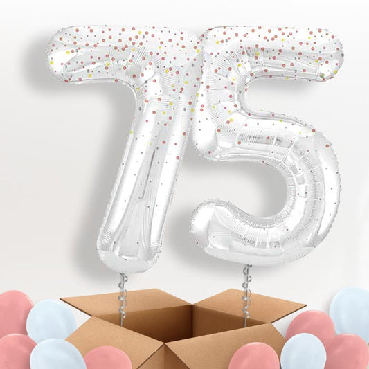 Rose Gold Dots 75 Balloons in a Box - Package | Small Indoor Plants