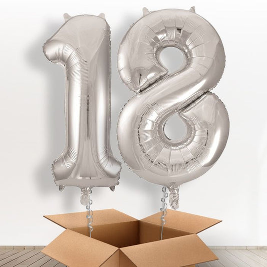 Silver 18th Birthday Balloon Numbers in a Box - Package | Small Indoor Plants