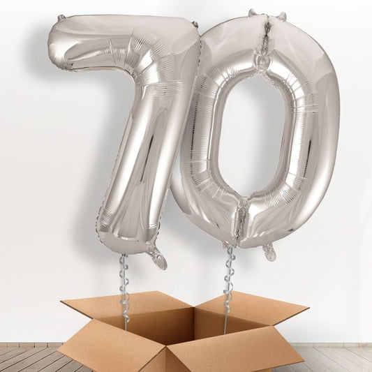Silver Giant Numbers 70th Birthday Balloon in a Box Gift - Package | Small Indoor Plants