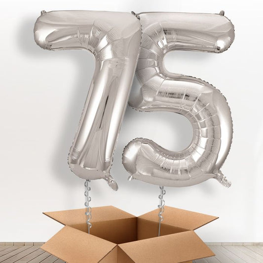 Age 75 Balloons in a Box - Silver Number - Package | Small Indoor Plants
