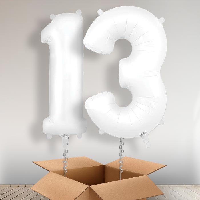 Matte White 13 Balloons in a Box - Giant Numbers | Small Indoor Plants