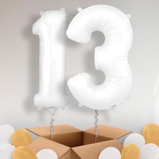 Matte White 13 Balloons in a Box - Package | Small Indoor Plants