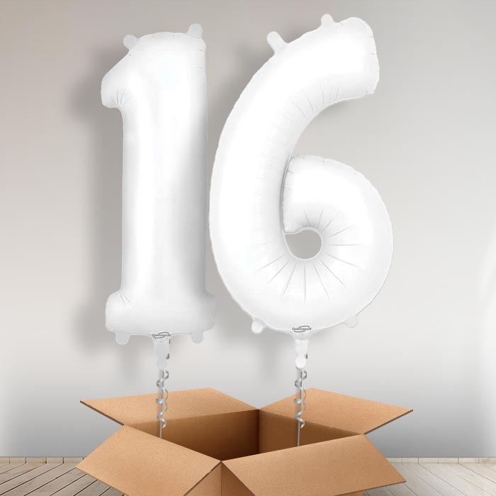 Matte White 16 Balloons in a Box - Giant Numbers | Small Indoor Plants